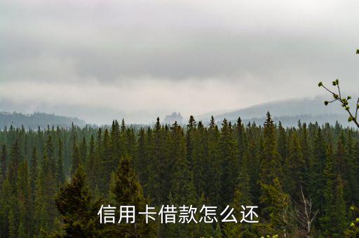 信用卡怎么還款，信用卡借款怎么還