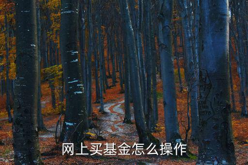 網(wǎng)上買(mǎi)基金怎么操作