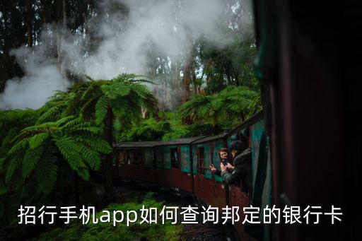 招行app怎么查詢開戶行，招商銀行如何在網(wǎng)上銀行上查詢開戶行