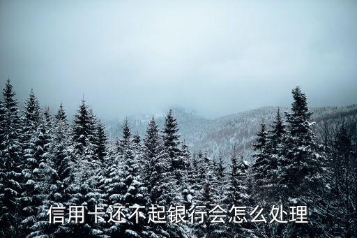 信用卡還不起銀行會怎么處理