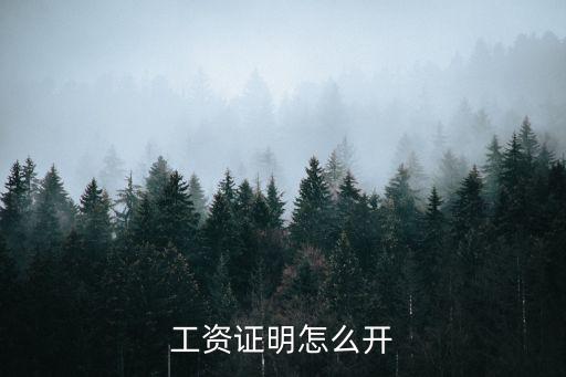 工資證明怎么開，我有工資卡怎么開工資證明