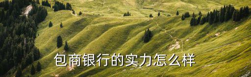 包商銀行的實(shí)力怎么樣