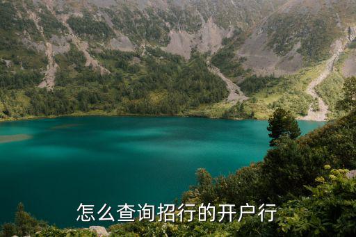 怎么查詢招行開(kāi)戶行，怎么查詢招商銀行卡的開(kāi)戶行
