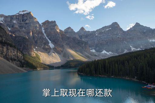 掌上取現(xiàn)在哪還款