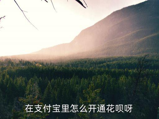 在支付寶里怎么開通花唄呀