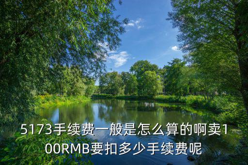 5173手續(xù)費怎么算，5173手續(xù)費怎么算的啊為什么我賣的是115塊 到手只有96塊不是