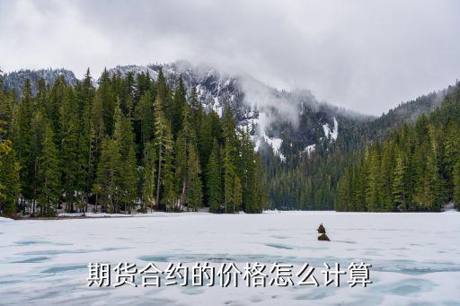 期貨持倉均價(jià)怎么算，白銀TD交易中當(dāng)日的賣持倉均價(jià)是如何得來的