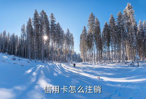 興業(yè)銀行信用卡怎么銷戶，怎樣注銷信用卡