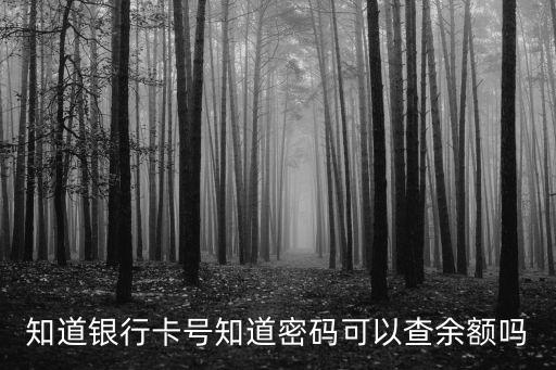 知道銀行卡號知道密碼可以查余額嗎