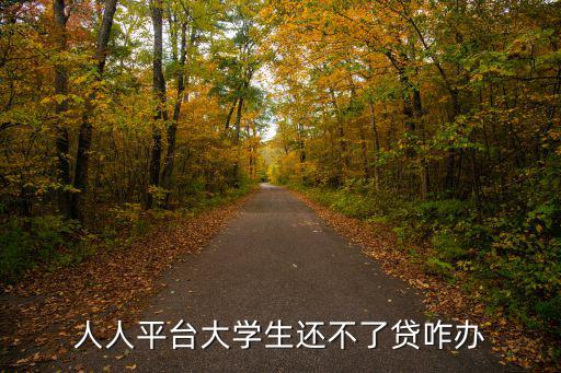 人人平臺大學(xué)生還不了貸咋辦
