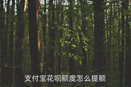 支付寶花唄額度怎么提額