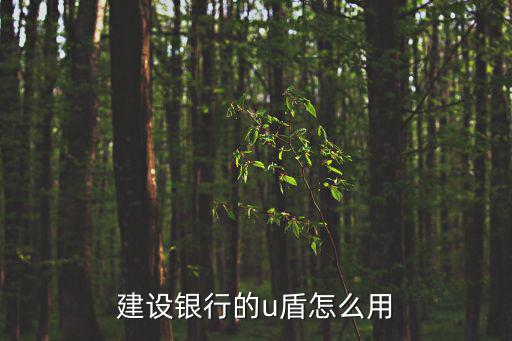 u盾怎么使用，建設(shè)銀行的u盾怎么用