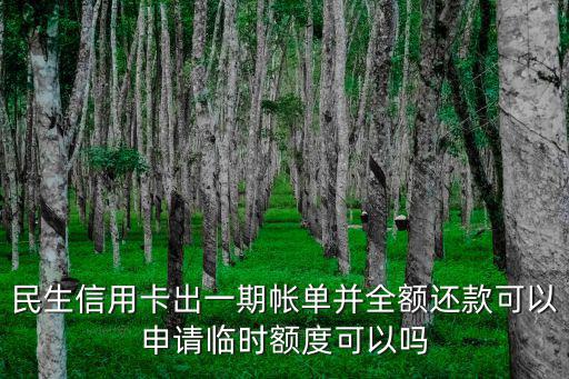 民生信用卡出一期帳單并全額還款可以申請(qǐng)臨時(shí)額度可以嗎