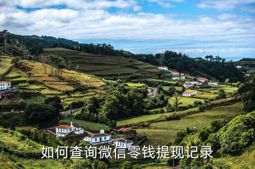 如何查詢微信零錢提現(xiàn)記錄