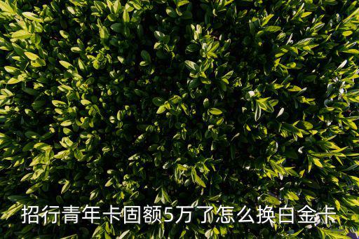 招行金卡怎么轉(zhuǎn)白金，招商銀行金卡升白金卡要多久