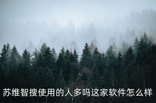蘇維智搜使用的人多嗎這家軟件怎么樣