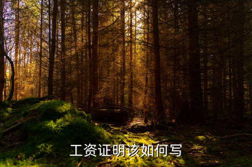 工資證明怎么寫，個人工資證明怎么寫