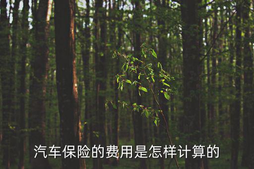 汽車保險怎么算，汽車保險費怎么計算