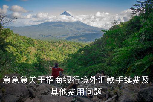 急急急關于招商銀行境外匯款手續(xù)費及其他費用問題