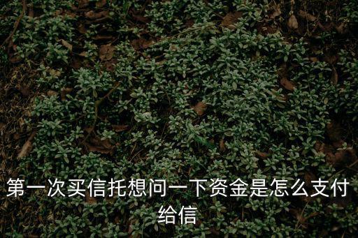 第一次買信托想問一下資金是怎么支付給信