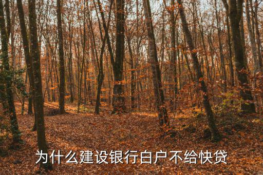 建行快貸貸不了怎么辦理嗎，建設(shè)銀行快貸貸過一次就貸不了了嗎