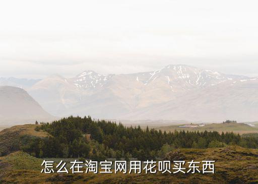 怎么在淘寶網(wǎng)用花唄買東西