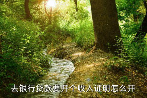 去銀行貸款要開個收入證明怎么開