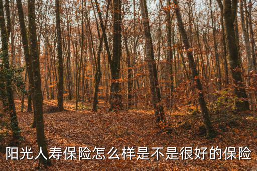陽光人壽保險怎么樣是不是很好的保險