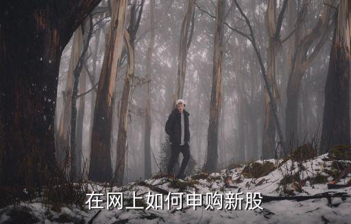在網(wǎng)上如何申購新股
