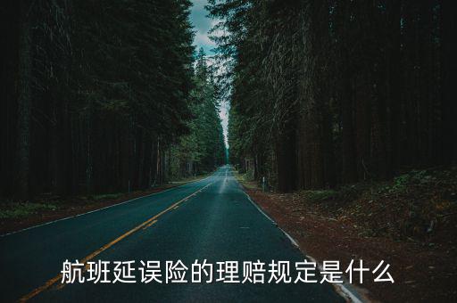 航班延誤險(xiǎn)的理賠規(guī)定是什么