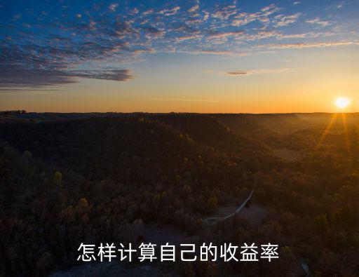 怎樣計算自己的收益率