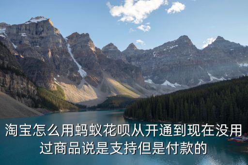 淘寶螞蟻花是怎么用的和怎么還的，淘寶怎么用螞蟻花唄從開通到現(xiàn)在沒用過商品說是支持但是付款的