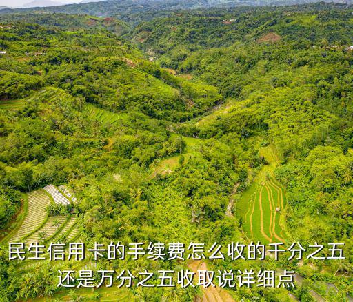 民生信用卡的手續(xù)費(fèi)怎么收的千分之五還是萬(wàn)分之五收取說(shuō)詳細(xì)點(diǎn)