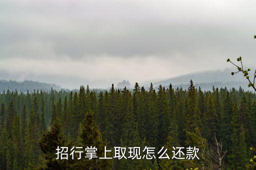 招行掌上取現(xiàn)怎么還款