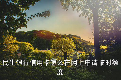 民生銀行信用卡怎么在網(wǎng)上申請(qǐng)臨時(shí)額度