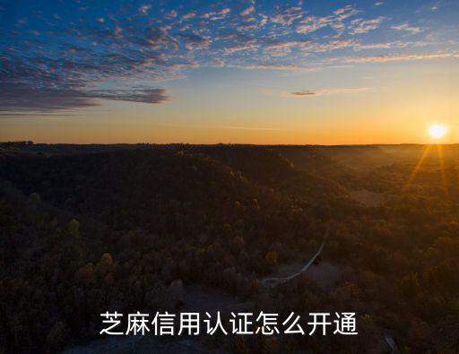 芝麻信用認(rèn)證怎么開通