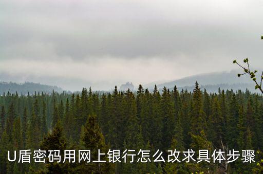 U盾密碼用網(wǎng)上銀行怎么改求具體步驟