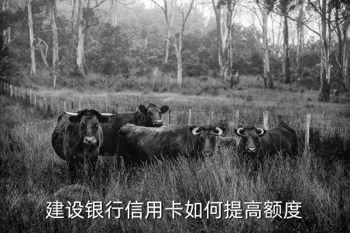 建行信用卡怎么提額2萬，建設銀行怎么申請加額度