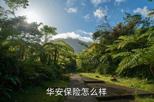 華安保險(xiǎn)怎么樣，華安保險(xiǎn)理賠服務(wù)怎么樣