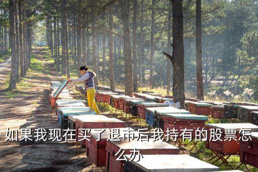 如果我現(xiàn)在買了退市后我持有的股票怎么辦