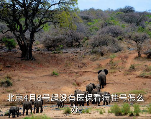 北京沒醫(yī)保怎么辦，外地來北京的打工者沒有醫(yī)保想去北京中醫(yī)院買藥不知道怎么
