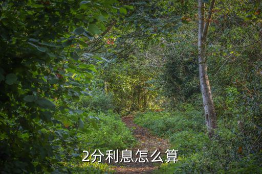 2分利息怎么算