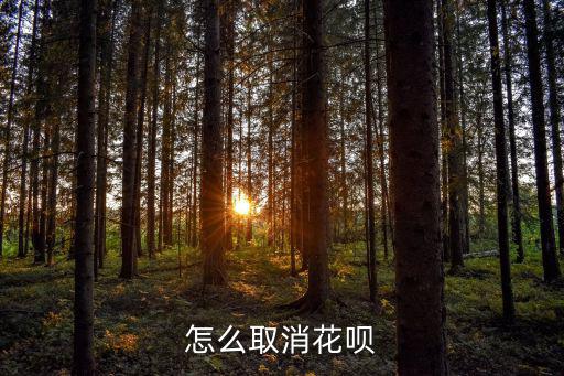 怎么取消花唄