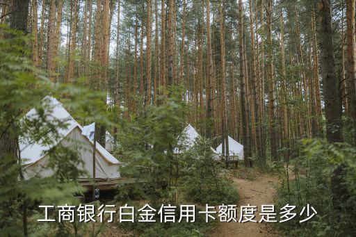 工行的白金卡怎么提額度是多少錢，工商銀行的白金卡如何提升額度