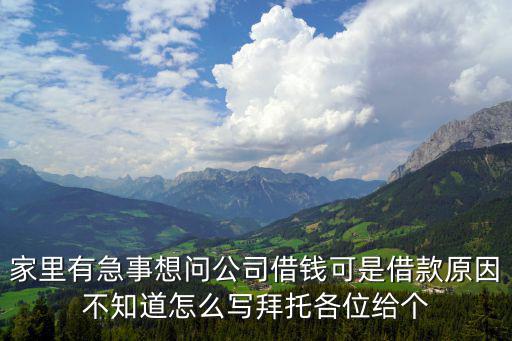 公司借款事由怎么寫，職工向單位工會(huì)借款理由怎么寫