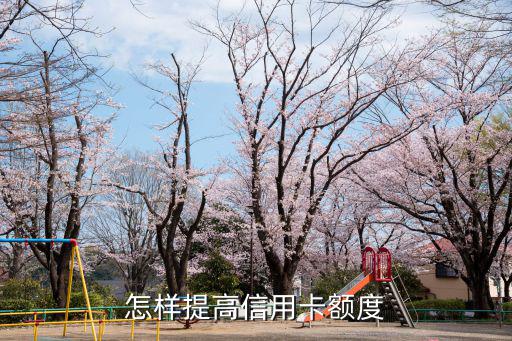 信用卡額度怎么提額度，如何提升信用卡額度