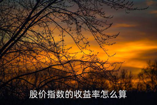 股價(jià)指數(shù)的收益率怎么算
