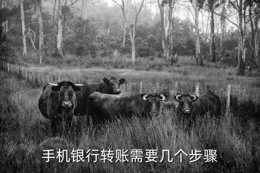 手機(jī)銀行怎么轉(zhuǎn)賬，手機(jī)銀行轉(zhuǎn)賬怎么操作