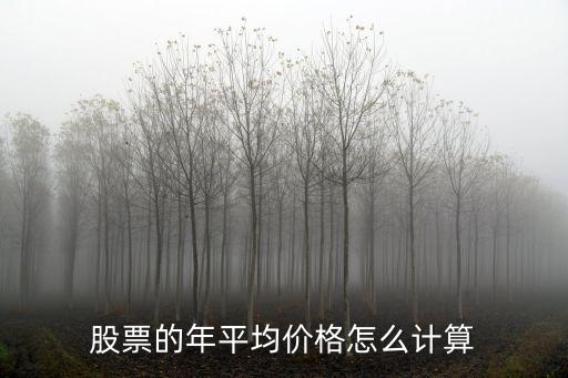 股票的年平均價(jià)格怎么計(jì)算