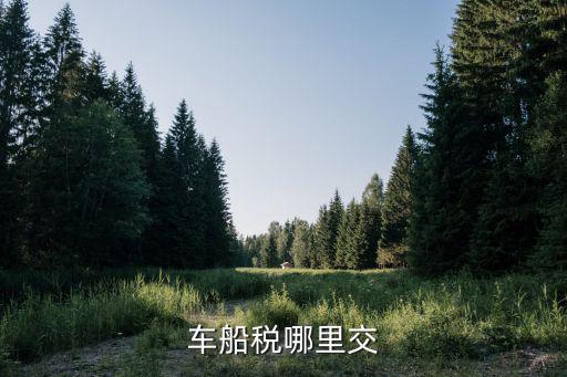 車船稅哪里交